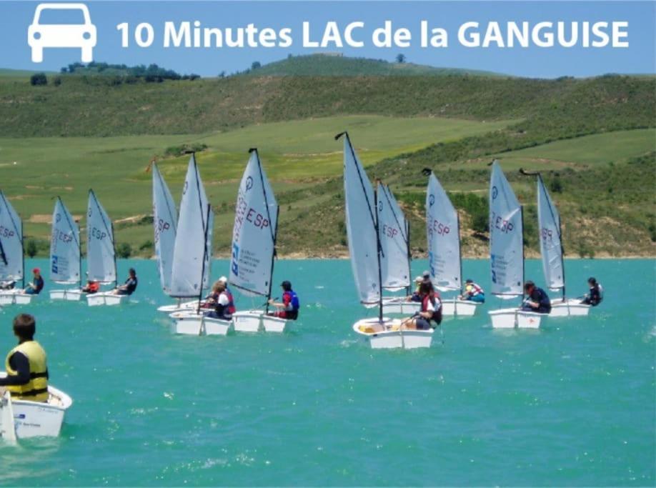 Pierre Lauragaise Apartment Avignonet-de-Lauragais Екстериор снимка